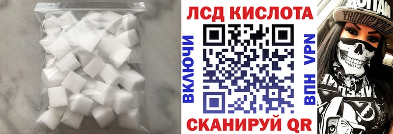 где купить наркоту  Новая Ладога  Лсд 25 экстази ecstasy 