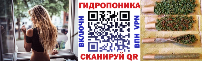 ссылка на мегу как войти  Новая Ладога  Марихуана конопля  хочу  